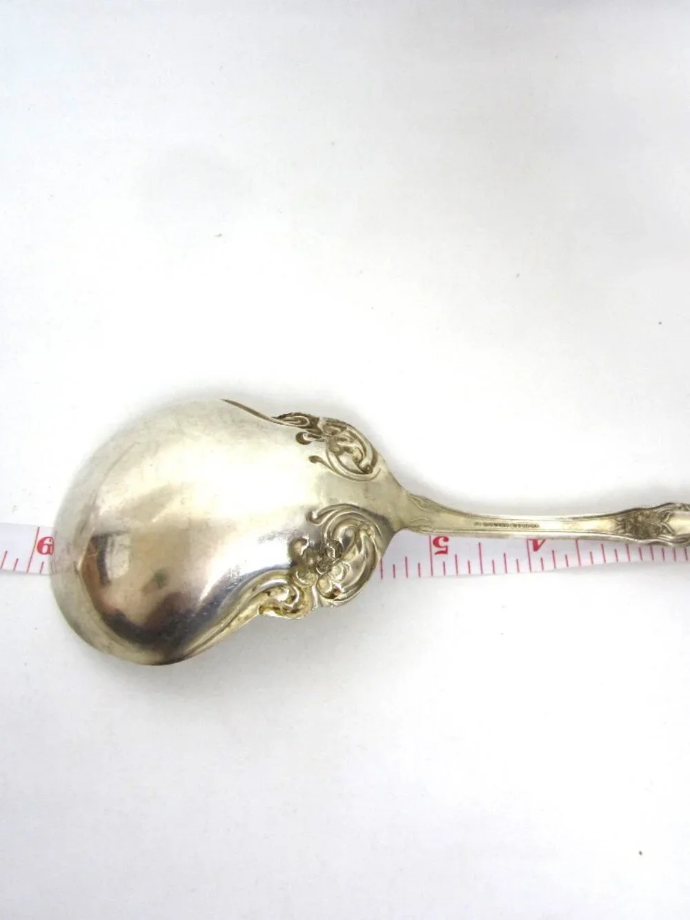 ARBUTUS International Wm Rogers & Son Silverplate 8.7